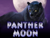 Игровой аппарат Panther Moon