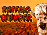 Игровой аппарат Buffalo Thunder