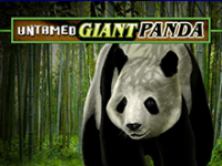 Игровой аппарат Гигантская Панда